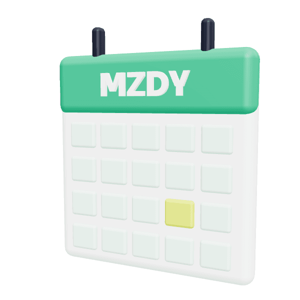 Mzdová účetní
